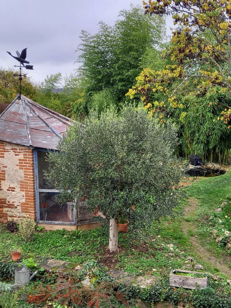 Grand Jardin Arboré